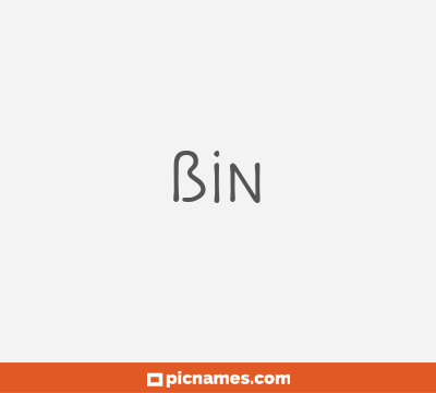 Bin