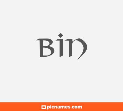 Bin
