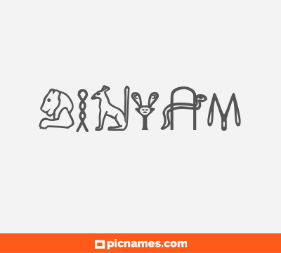 Binyam