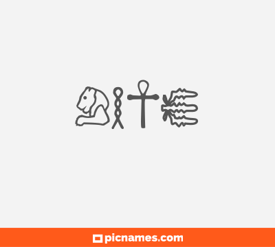 Bite