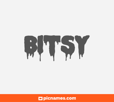 Bitsy