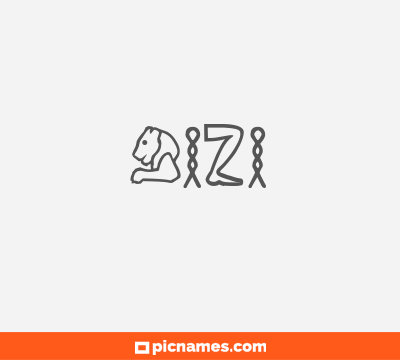 Bizi