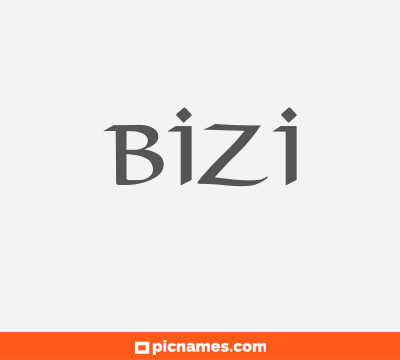 Bizi