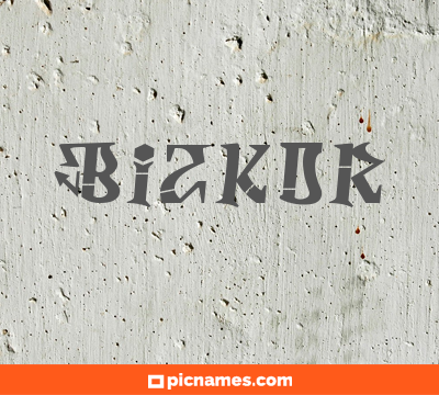 Bizkor