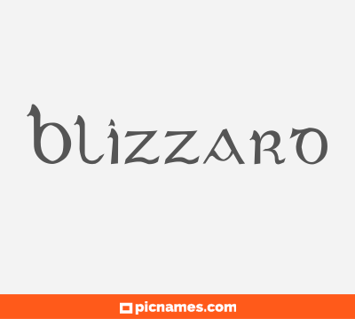 Blizzard