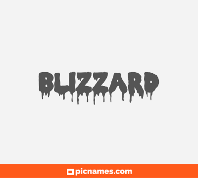 Blizzard