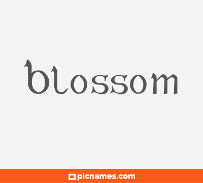 Blossom