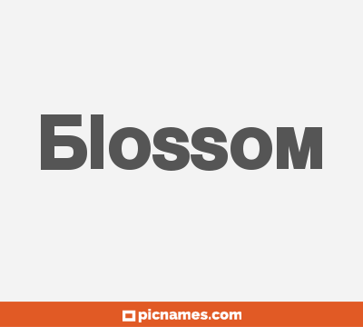 Blossom