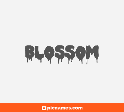 Blossom