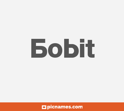 Bobit