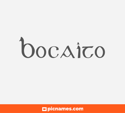 Bocaito