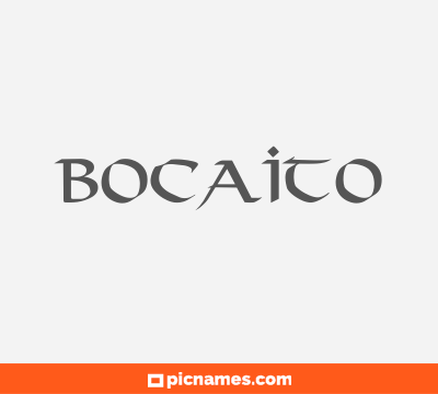 Bocaito