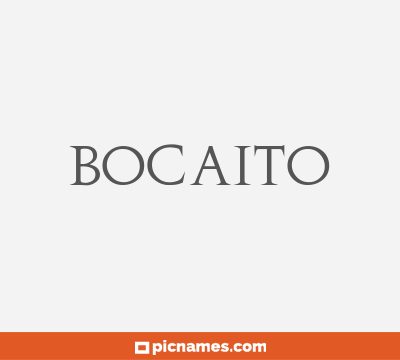 Bocaito