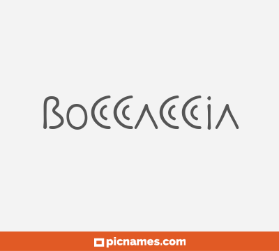 Boccaccia