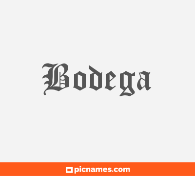 Bodega