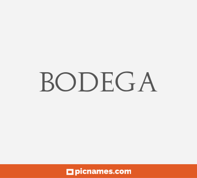 Bodega