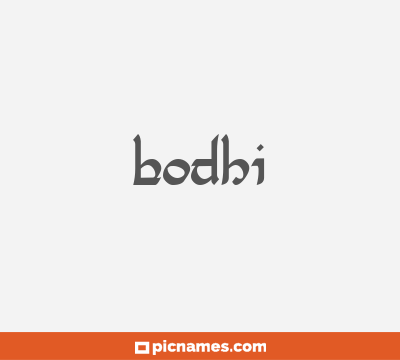 Bodhi