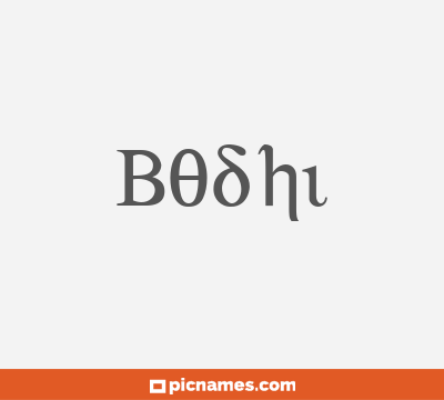 Bodhi