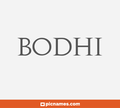Bodhi