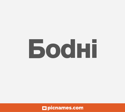 Bodhi
