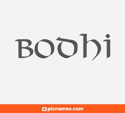 Bodhi