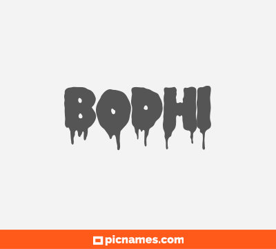 Bodhi