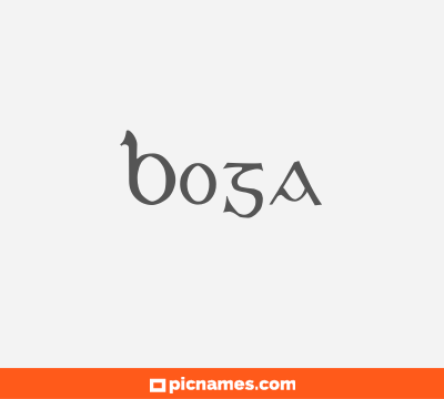 Boga