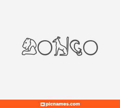 Bongo