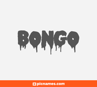 Bongo