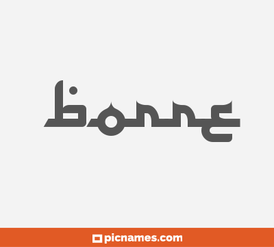 Borre