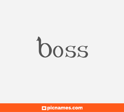 Boss