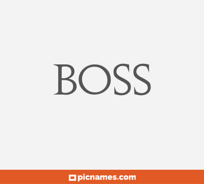 Boss