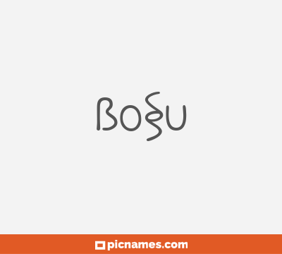 Bosu