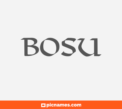 Bosu