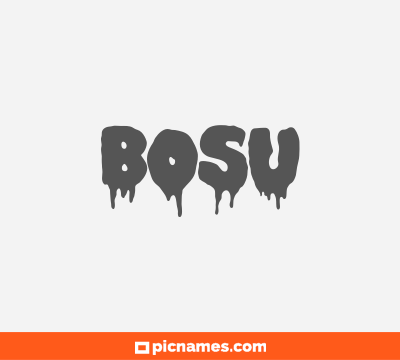 Bosu