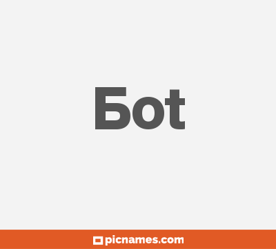 Bot