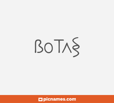 Botas