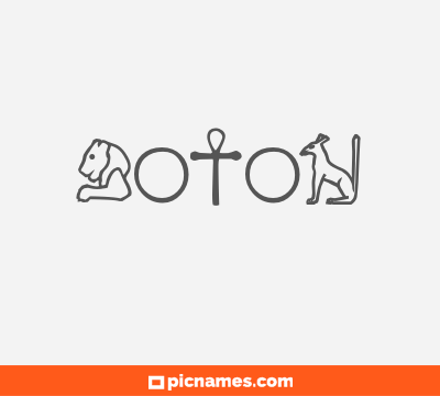 Botón