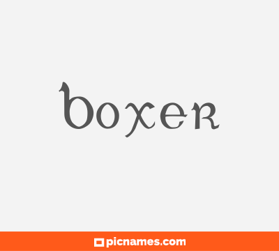 Boxer