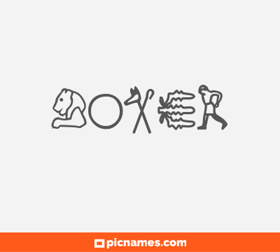 Boxer