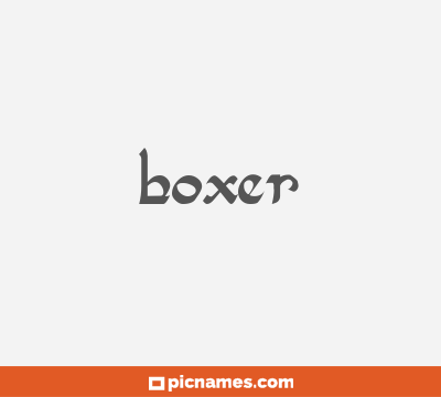 Boxer