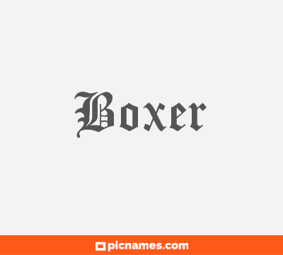 Boxer