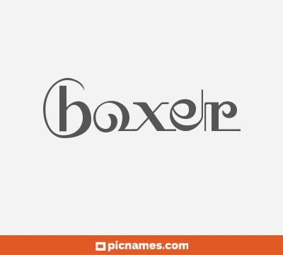 Boxer