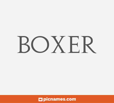 Boxer