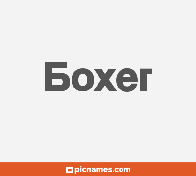 Boxer