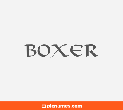 Boxer