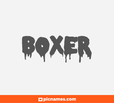 Boxer