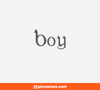 Boy