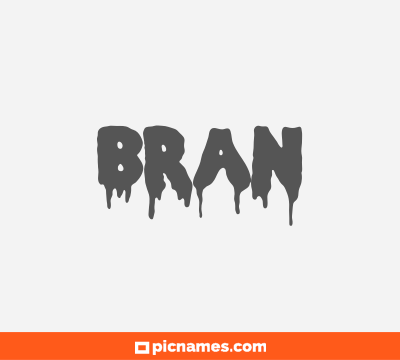 Bran