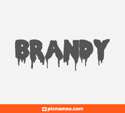 Brandr